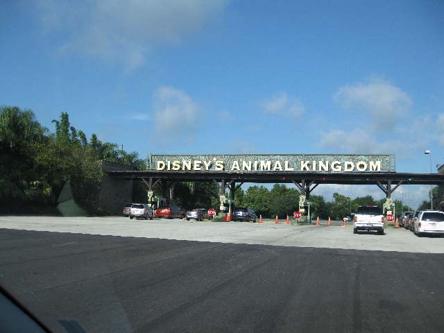 Entrada Disney Animal Kingdom