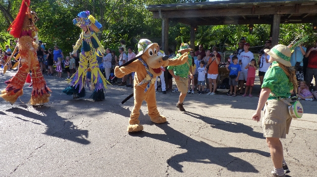 Desfile em Disney Animal Kingdom