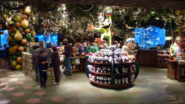 Rainforest Cafe Disney